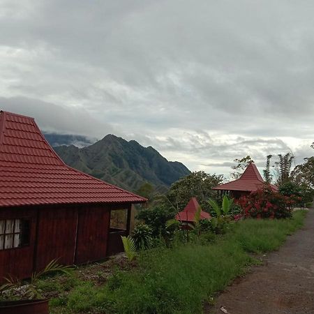 Home Stay Wolokoro Ecotourism Bajawa Bagian luar foto