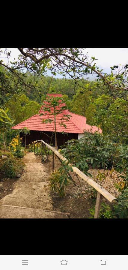 Home Stay Wolokoro Ecotourism Bajawa Bagian luar foto