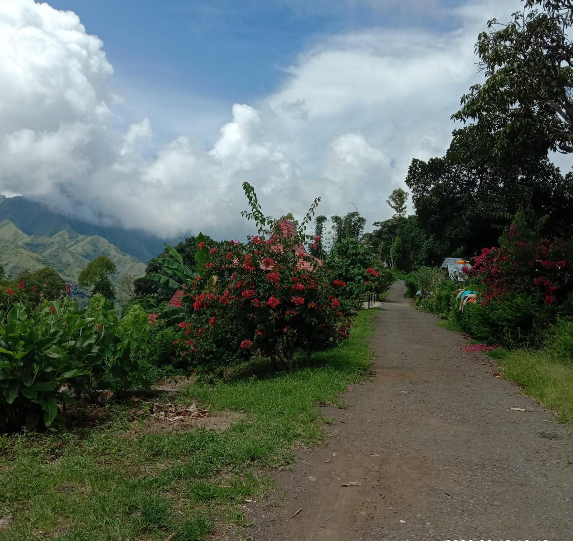 Home Stay Wolokoro Ecotourism Bajawa Ruang foto
